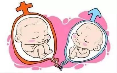 单身生子助孕机构